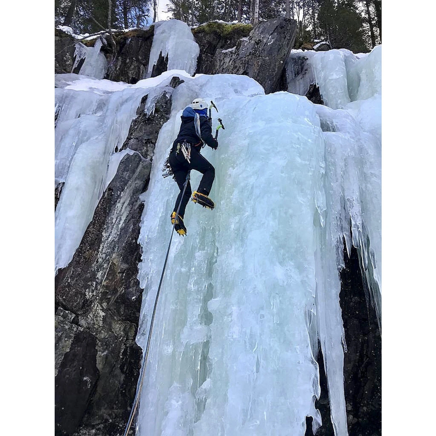 Black Diamond Alpine Bod - Climbing Harness - Image 3